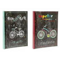 B4650 MODERN BIKES
